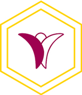 大韩整形外科医师协会logo